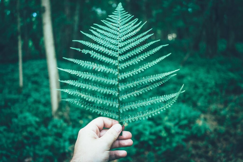 Sustainable Investing
